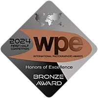 WPE-awards bronze badge