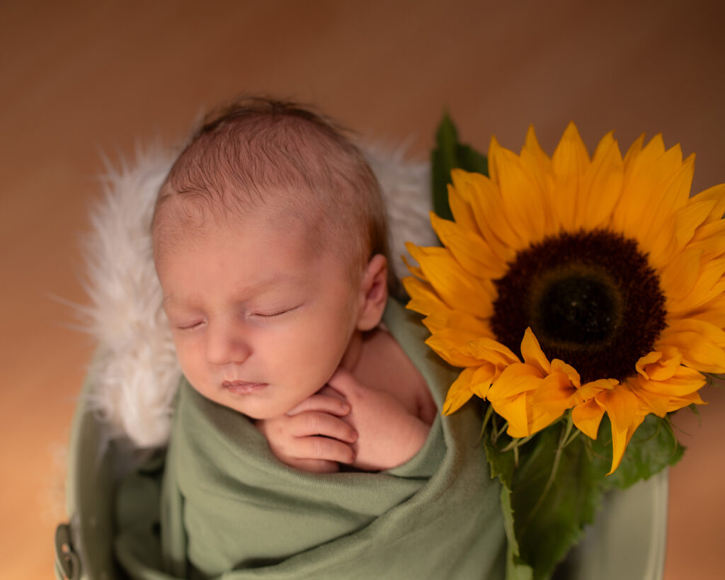 Nyfödd bebis vackert lindad i ett grönt tyg ligger sovande i en hink tillsammans med en solros och ett fårskinn